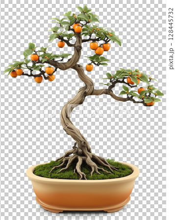 Japanese Persimmon Bonsai (Diospyros kaki) Miniature fruiting tree with small orange persimmons and oval-shaped leaves, planted in a rustic clay Japanese Persimmon Bonsai (Diospyros kaki) Miniature fruiting tree with small orange persimmons and oval-shaped leaves, planted in a rustic clay 128445732
