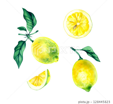 Garden watercolor cottage hand drawn collection 128445823