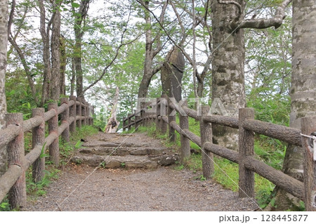 蔵王国定公園　滝見台　遊歩道 128445877