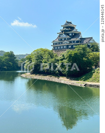 岡山城 128446145