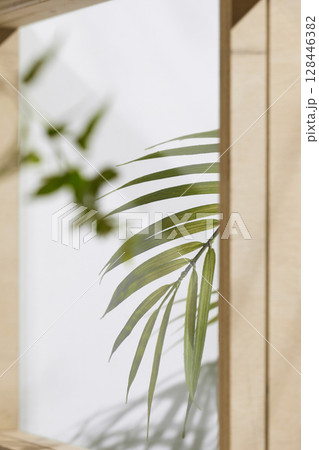 Soft sunlight through wooden windows, shadows, green leaves and texture of white walls. Soft sunlight through wooden windows, shadows, green leaves and texture of white walls. 128446382
