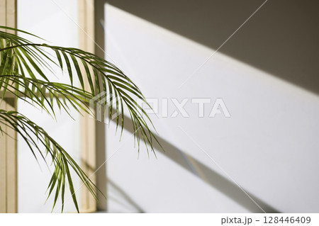 Soft sunlight through wooden windows, shadows, green leaves and texture of white walls. Soft sunlight through wooden windows, shadows, green leaves and texture of white walls. 128446409
