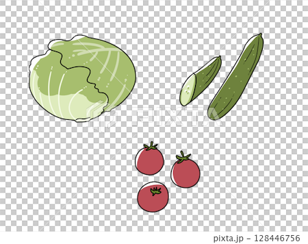 Set illustration of lettuce, tomato and cucumber 128446756
