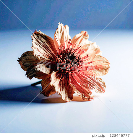 dried flower, preserved flower, interior decor, floral arrangement, natural material, gift item, aesthetic item, bouquet, colorful flower, vintage mood, decorative flower, room styling, photo zone, fl dried flower, preserved flower, interior decor, floral arrangement, natural material, gift item, aesthetic item, bouquet, colorful flower, vintage mood, decorative flower, room styling, photo zone, fl 128446777