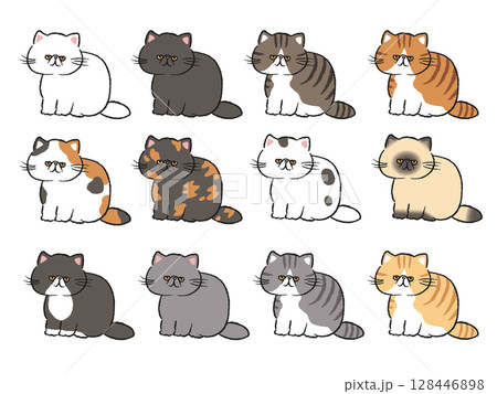 いろんな柄のエキゾチックショートヘア/イラストセット いろんな柄のエキゾチックショートヘア/イラストセット 128446898