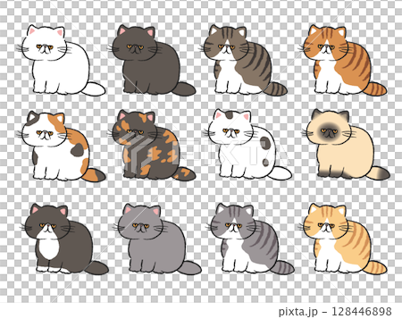 いろんな柄のエキゾチックショートヘア/イラストセット いろんな柄のエキゾチックショートヘア/イラストセット 128446898