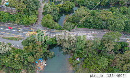 July 4 2025 View of Road and River Surrounded by Dense Greenery and Trees July 4 2025 View of Road and River Surrounded by Dense Greenery and Trees 128446974