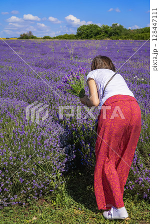 Woman in red skirt holding lavender bouquet in purple field under summer sky. Concept of harvesting of lavender, rural escape, aromatherapy joy, natural summer background 128447111