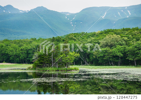 知床五湖 二湖風景 知床五湖 二湖風景 128447275