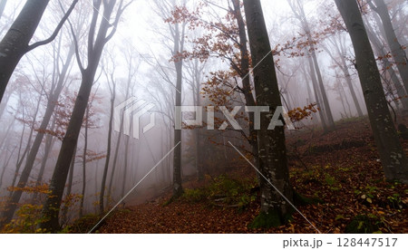 Sunrise over a tranquil mountain lake reflecting the vibrant sky, a breathtaking natural landscape 128447517