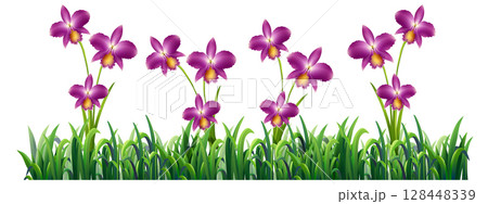 Vibrant Orchid Flowers in Lush Greenery 128448339