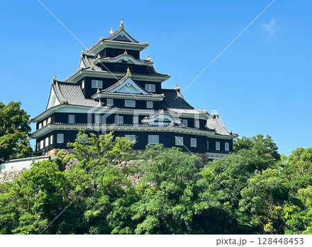 岡山城 128448453