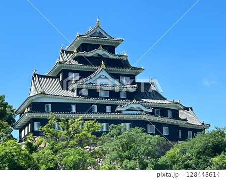 岡山城 128448614