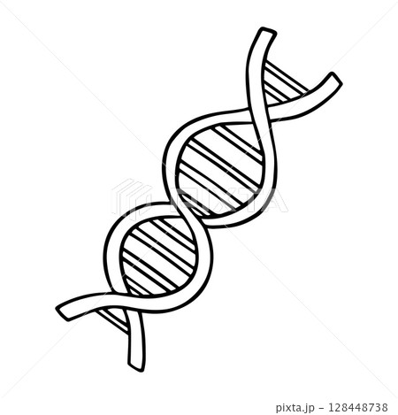 DNA Chain Doodle Sketch. Hand drawn DNA spiral. Helix molecule. Health research and clinical analysis. Isolated vector illustration DNA Chain Doodle Sketch. Hand drawn DNA spiral. Helix molecule. Health research and clinical analysis. Isolated vector illustration 128448738