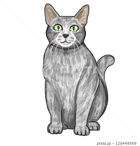 ロシアンブルー 128449569