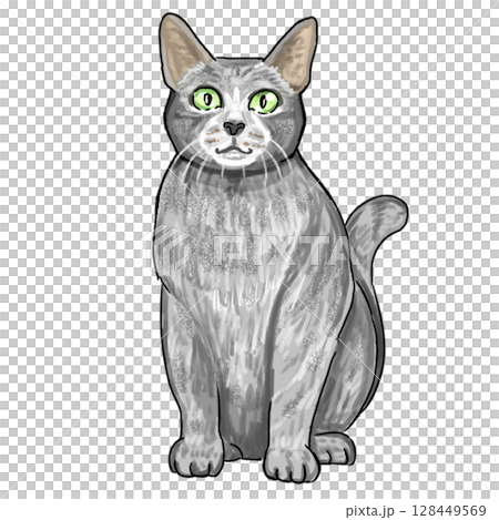 ロシアンブルー 128449569