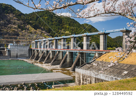 浜松市の船明ダムの桜並木の風景(静岡県) 128449592