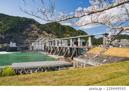 浜松市の船明ダムの桜並木の風景(静岡県) 128449593
