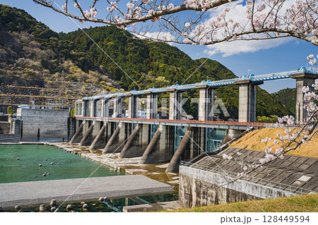 浜松市の船明ダムの桜並木の風景(静岡県) 128449594