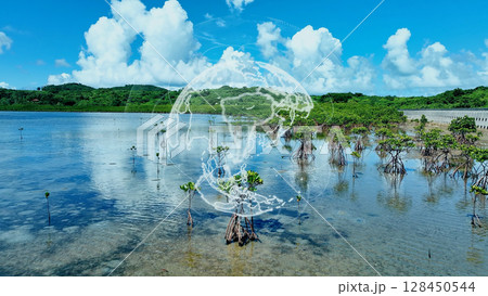 地球環境イメージ　SDGs　サステナブル 128450544