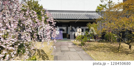 神戸酒心館の福寿蔵と桜の木 神戸酒心館の福寿蔵と桜の木 128450680