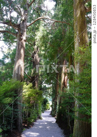 静かな参道　葛城市高天原神社 128450853