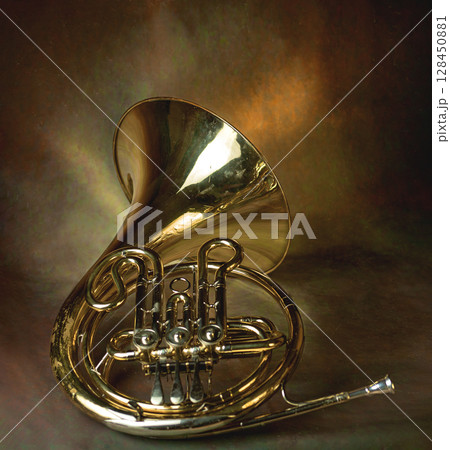 french horn an ancient musical metal instrument popular in classical brass music an instrument beloved by children and adults, amateurs and professionals french horn an ancient musical metal instrument popular in classical brass music an instrument beloved by children and adults, amateurs and professionals 128450881