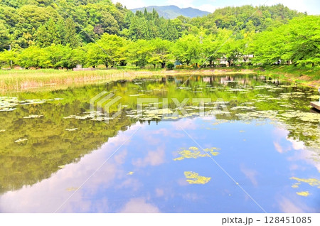 新緑に包まれた千曲市八幡の大雲寺のため池 128451085