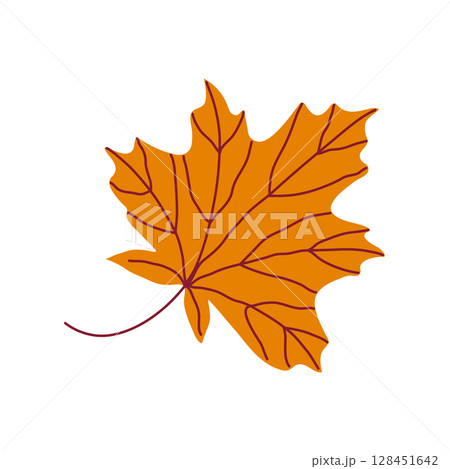 Bright orange maple leaf with detailed veins. Hand drawn vector illustration for autumn designs. 128451642