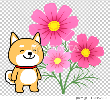 ピンク色のコスモスとにっこり笑顔のしばいぬ 128452008