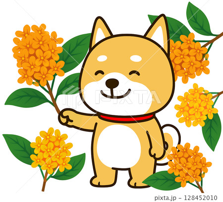 満開の金木犀に囲まれてうれしそうなしばいぬ 満開の金木犀に囲まれてうれしそうなしばいぬ 128452010