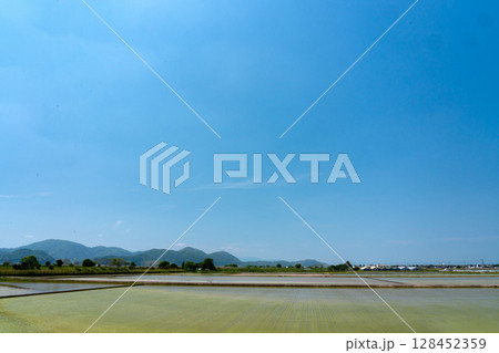 日本の春後半の田年地帯の風景 日本の春後半の田年地帯の風景 128452359