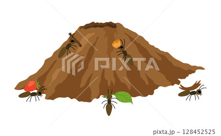 An anthill. Ants in burrows and passages with queen uterus, larvae, make stocks, a slice of the earth of the anthill. Vector drawn illustration. 128452525