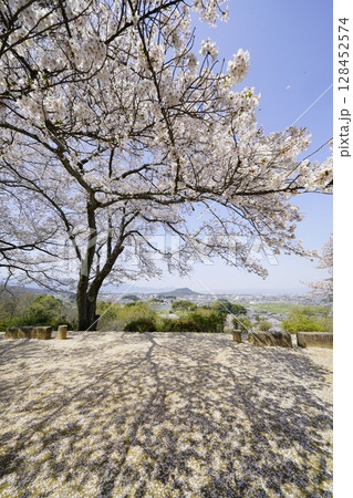 満開の桜と青い空　明日香村甘樫丘 128452574