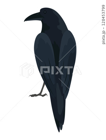 City bird, icon. European colorful bird, winged animal character. Bird isolated on white background. Vector illustration isolated on white background City bird, icon. European colorful bird, winged animal character. Bird isolated on white background. Vector illustration isolated on white background 128453799