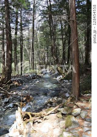 上高地の清流と静かな森 128454558