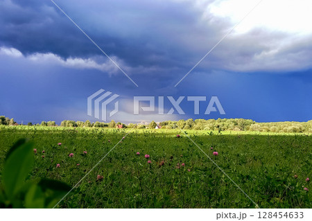 Dark storm clouds gather over lush green meadow with scattered pink wildflowers and line of trees in distance. Dramatic sky contrasts with vibrant landscape below Dark storm clouds gather over lush green meadow with scattered pink wildflowers and line of trees in distance. Dramatic sky contrasts with vibrant landscape below 128454633