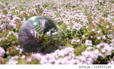 花畑とガラス玉 花畑とガラス玉 128455126