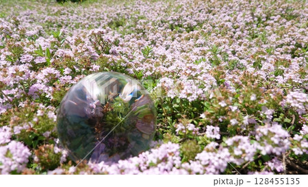 花畑とガラス玉 花畑とガラス玉 128455135
