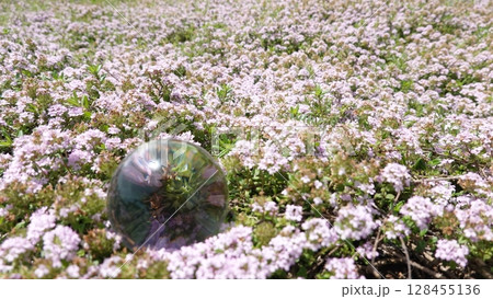 花畑とガラス玉 128455136