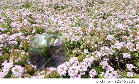 花畑とガラス玉 花畑とガラス玉 128455138