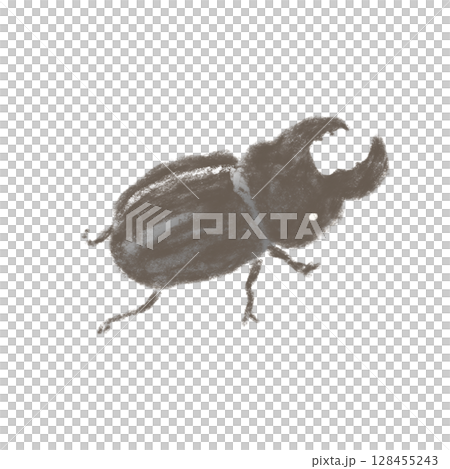 Simple and cute hand-drawn stag beetle 128455243