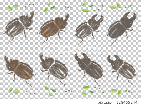 Simple and cute hand-drawn stag beetles and rhinoceros beetles Simple and cute hand-drawn stag beetles and rhinoceros beetles 128455244