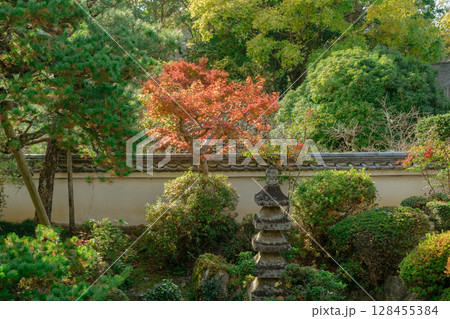 奈良県天理市の紅葉まっさかりの釜の口山長岳寺を撮影 128455384