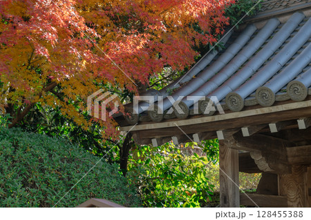 奈良県天理市の紅葉まっさかりの釜の口山長岳寺を撮影 奈良県天理市の紅葉まっさかりの釜の口山長岳寺を撮影 128455388