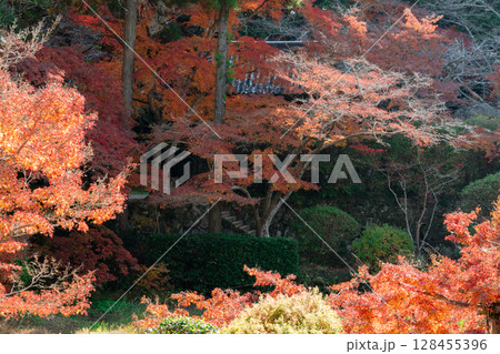 奈良県天理市の紅葉まっさかりの釜の口山長岳寺を撮影 奈良県天理市の紅葉まっさかりの釜の口山長岳寺を撮影 128455396