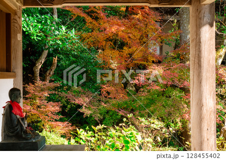 奈良県天理市の紅葉まっさかりの釜の口山長岳寺を撮影 奈良県天理市の紅葉まっさかりの釜の口山長岳寺を撮影 128455402