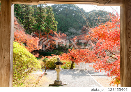 奈良県天理市の紅葉まっさかりの釜の口山長岳寺を撮影 128455405
