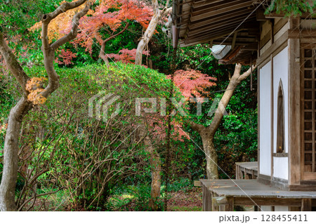 奈良県天理市の紅葉まっさかりの釜の口山長岳寺を撮影 128455411