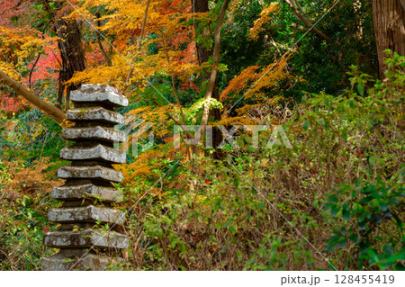 奈良県天理市の紅葉まっさかりの釜の口山長岳寺を撮影 128455419